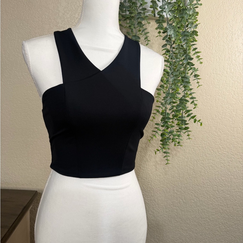 Express Black V-Neck Crop Top